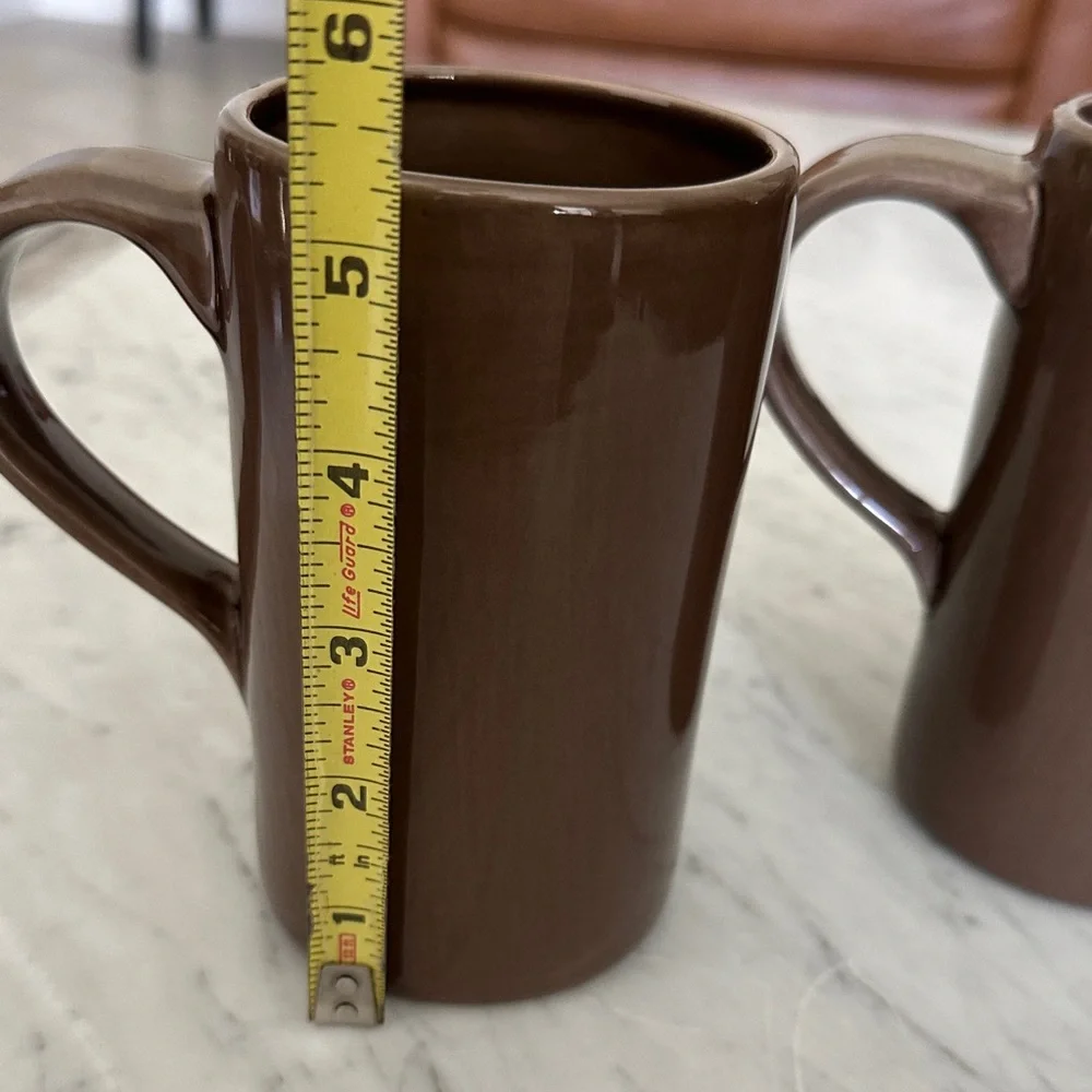 Pottery Barn Brown Ceramic Mug Set of 2